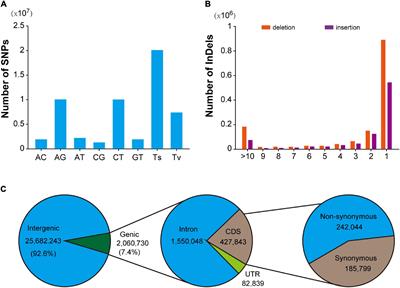 QTL Mapping for Leaf Area of Tea Plants (Camellia sinensis) Based on a High-Quality Genetic Map Constructed by Whole Genome Resequencing
